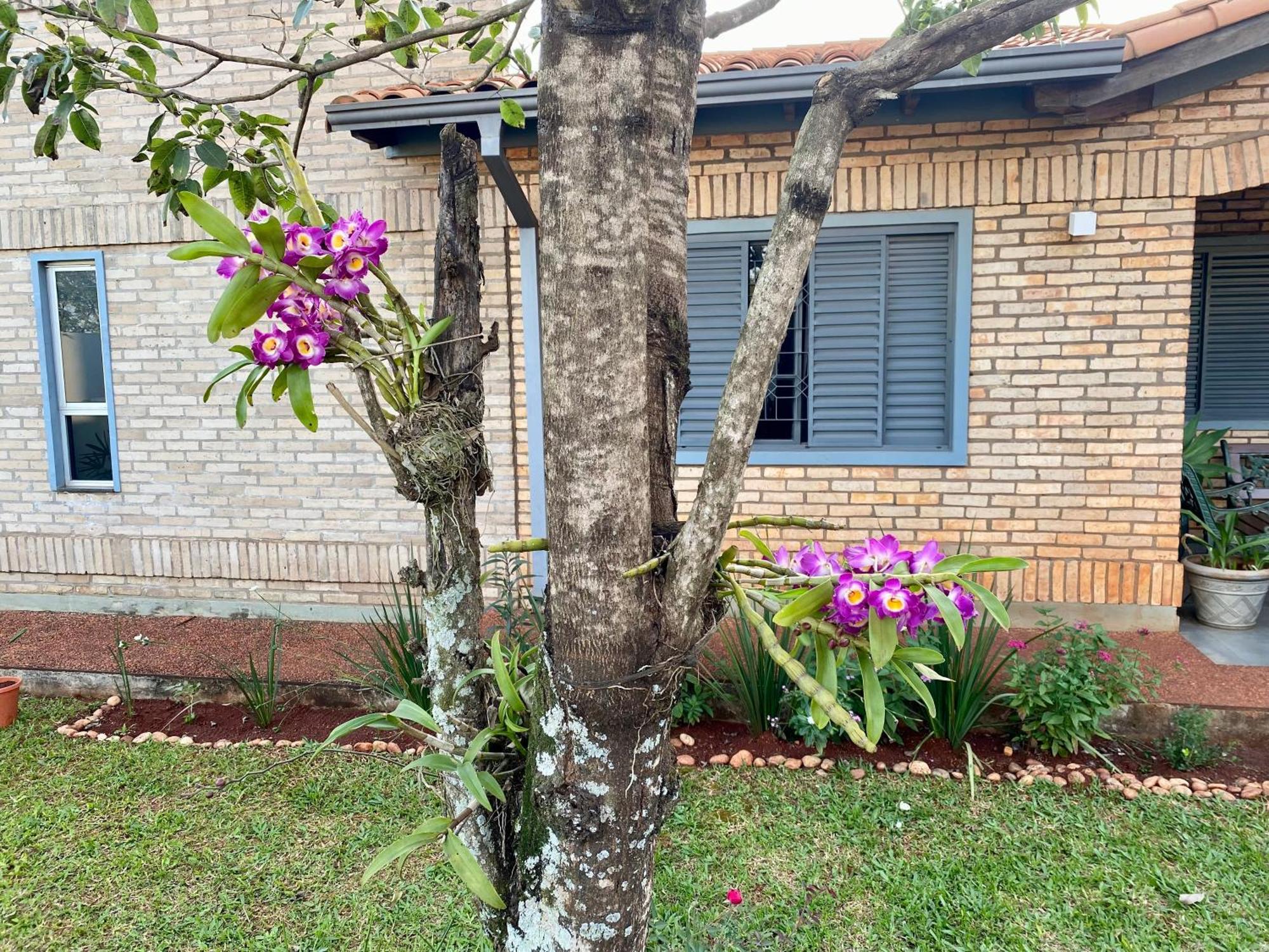 Moderna Y Unica Casa Independiente Con Jardin Y Estacionamiento 시우다드델에스테 외부 사진